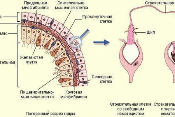 Кракен наркомаркет