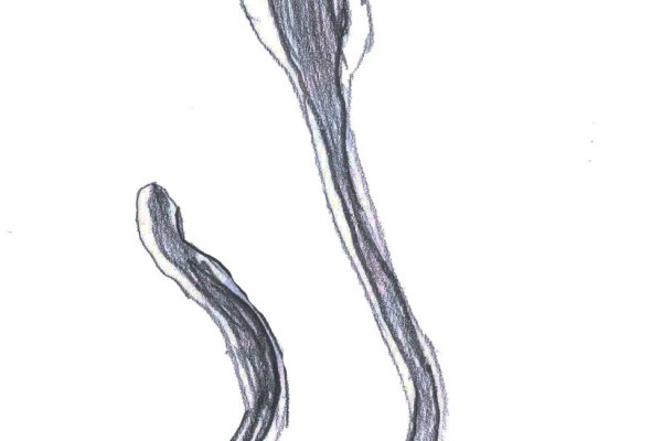 Kra23cc